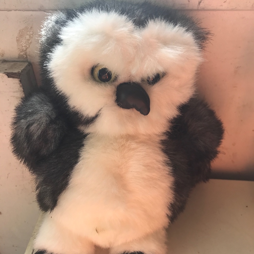 Gund Owl. Plush Owl toy